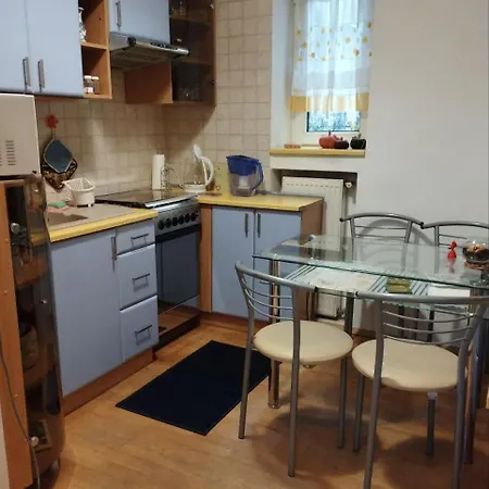 Apartment Family In Lviv